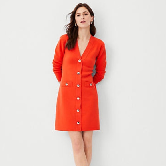 Ann Taylor Dresses & Skirts - Ann Taylor Sweater Dress (NWT)